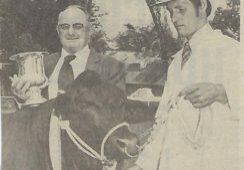 Supreme Champion All Breeds Steer, 1984 North Coast National Lismore